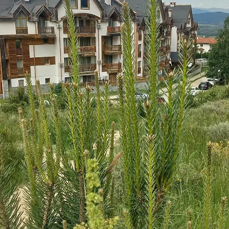 With Own Garden * Bansko